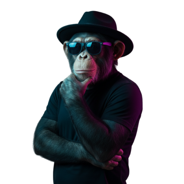 chimpancé Mr Red slide 2 (2)